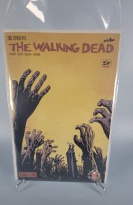 The Walking Dead #163 (2017)