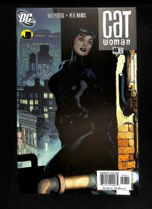 Catwoman (2002) #48 Adam Hughes Cover!