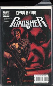 Punisher #3 Variant Cover (2009) Punisher