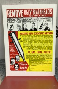 Fantastic Comics #24 (2008)