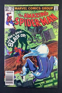 Amazing Spider-Man (1963) #226 NM- (9.2) Mark Jewelers