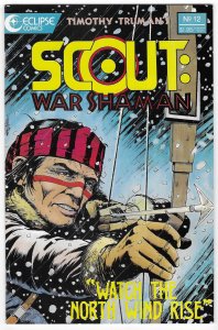 Scout: War Shaman #12 (1989)