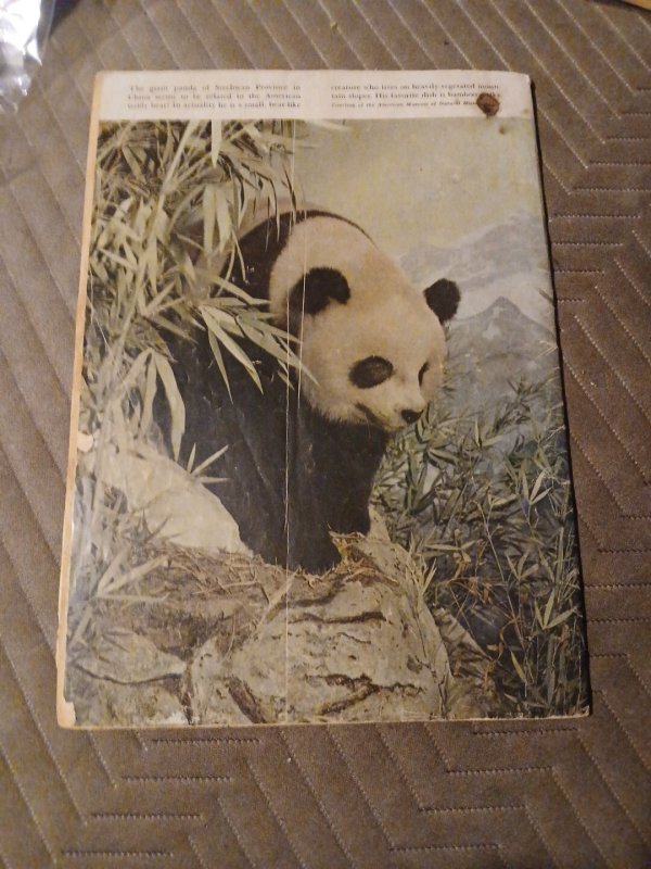 TARZAN 26~DELL COMIC~NOV 1951~LEX BARKER PHOTO COVER~EDGAR RICE BURROUGHS Jungle