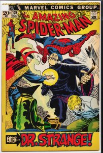 The Amazing Spider-Man #109 (1972) Spider-Man