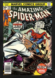 The Amazing Spider-Man #163 (1976)
