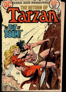 Edgar Rice Burroughs' Tarzan #223 (1973)