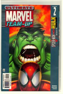 Ultimate Marvel Team-Up #2 (2001) Ultimate Hulk
