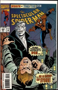 The Spectacular Spider-Man #205 (1993) Spider-Man