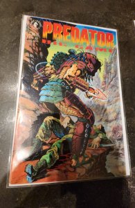 Predator: Big Game #3 (1991)