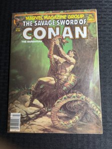 1982 SAVAGE SWORD OF CONAN Magazine #73 FN- 5.5 John Buscema