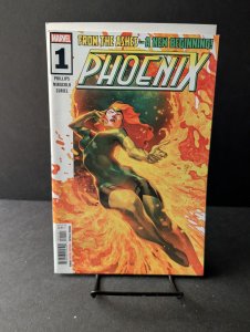Phoenix #1 Yasmine Putri Cover (2024)