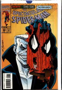The Spectacular Spider-Man #206 (1993) Spider-Man
