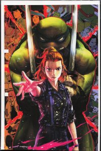 Teenage Mutant Ninja Turtles x Stranger Things #2