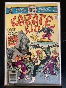 Karate Kid #2 (1976)