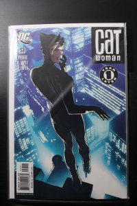 Catwoman #53 1st Printing Variant (2006)