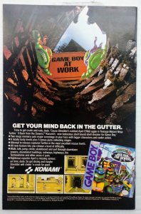 Teenage Mutant Ninja Turtles Adventures #29 (1992)