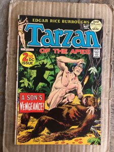 Edgar Rice Burroughs' Tarzan #208 (1972)