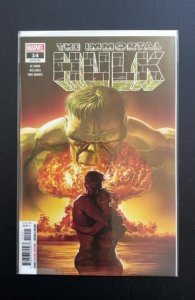 The Immortal Hulk #14 (2019)