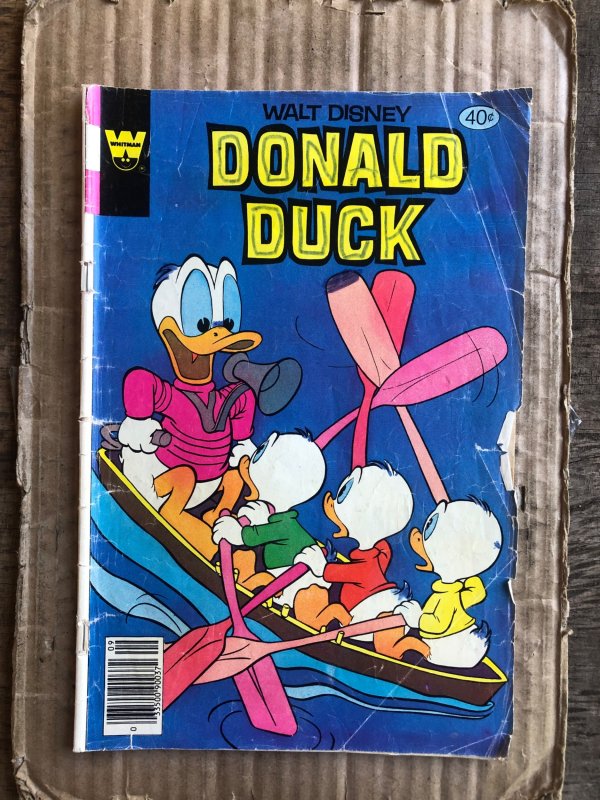 Donald Duck #211 (1979)