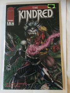 IMAGE COMICS [LOT OF 9] V'1's-KINDRED, VIOLATER, THE MAXX, PITT, BATTLESTONE, NM