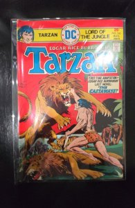 Edgar Rice Burroughs' Tarzan #240 (1975)