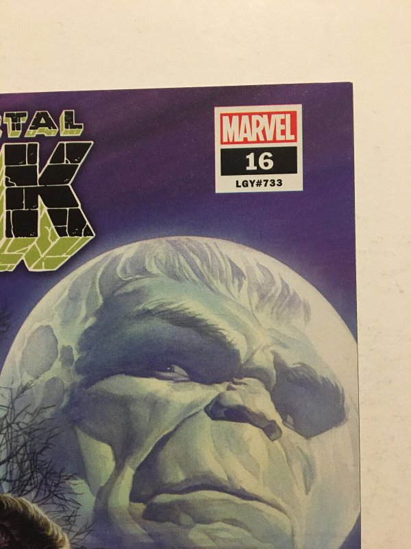 Immortal Hulk #16 #18 #19 Set Lot Al Ewing Alex Ross Covers 2019 Horror Marvel