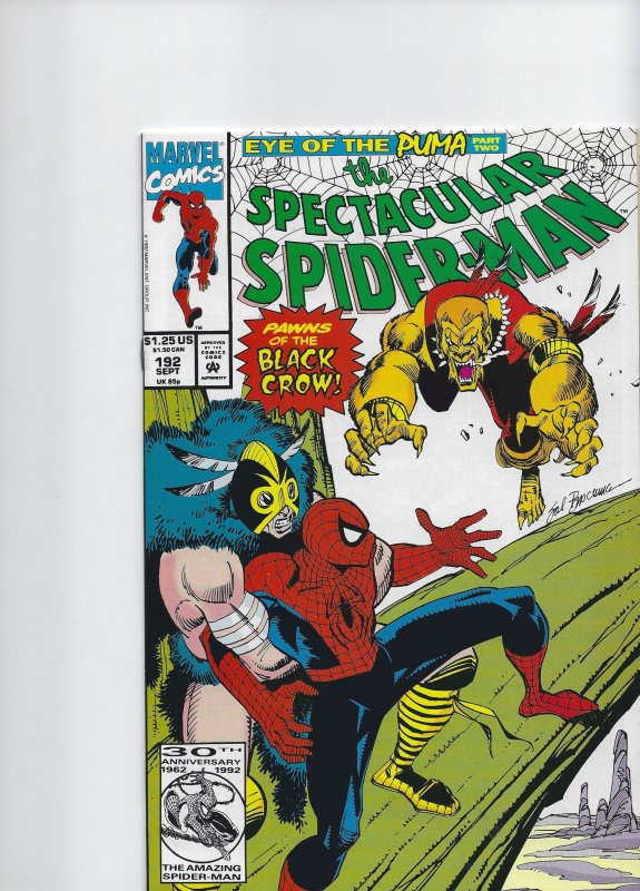 The Spectacular Spider-Man #192 (1992)