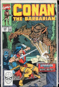 Conan the Barbarian #234 (1990) Conan