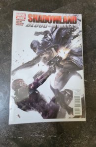 Shadowland: Blood on the Streets #2 (2010)