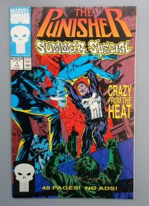 Punisher: Summer Special #1, NM Marvel, 1991