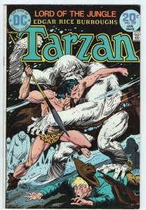 TARZAN #227 - 3.0 - OW - Kubert