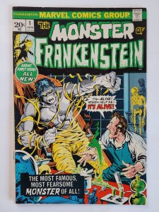 The Frankenstein Monster #1  (1973)