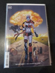 Old Lady Harley 1 Virgin Variant Cover DC Comics Harley Quinn High Grade