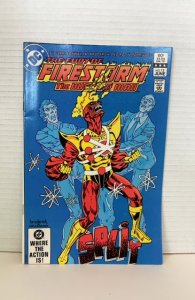 The Fury of Firestorm #13 (1983)
