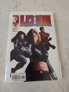 Black Widow #1 (2001)