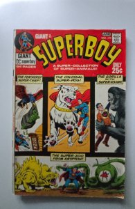 Superboy #174 (1971)