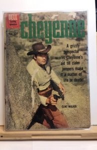 Cheyenne #19 (1960)