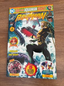 Aquaman 100 Page Giant # 2 NM 1st Print DC Comic Book 1 J327
