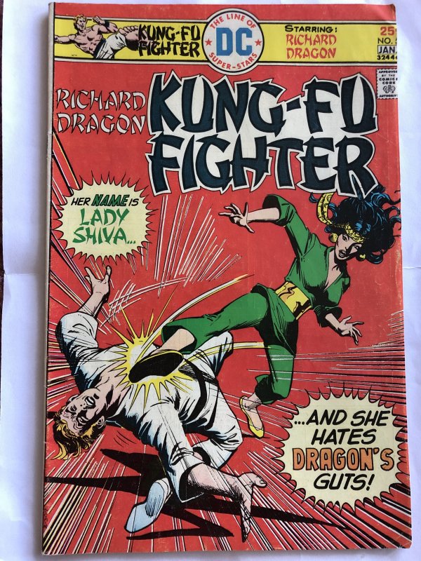 richard dragon kung fu fighter