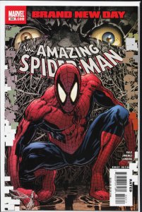 The Amazing Spider-Man #553 (2008)