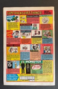 Beep Beep the Road Runner #62