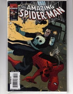The Amazing Spider-Man #577 (2009) Punisher! / NSC-CR100-073