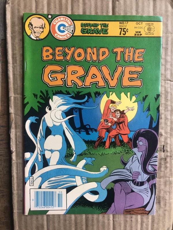 Beyond the Grave #17 (1984)