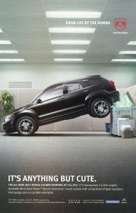 Catwoman 61  9.0 (our highest grade)  Adam Hughes Cover!