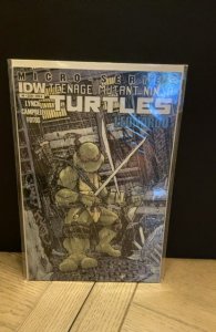 Teenage Mutant Ninja Turtles Micro-Series #4 (2012)