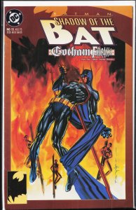 Batman: Shadow of the Bat #15 (1993) Batman