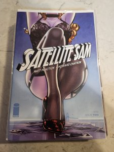 Satellite Sam #2 (2013)