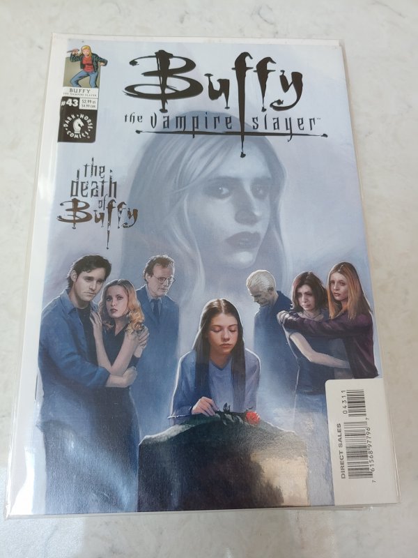 Buffy the Vampire Slayer #43 (2002)