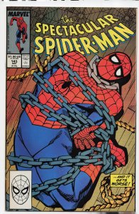 The Spectacular Spider-Man #145 (1988) Spider-Man
