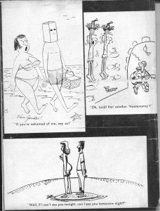 Cartoons From The Editors of Male & Stag Magazine #1 1965- Davis DeCarlo